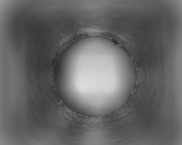 X0000062891157200601131009
