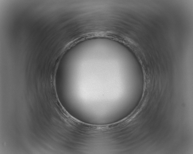 X0000062891161200601131009