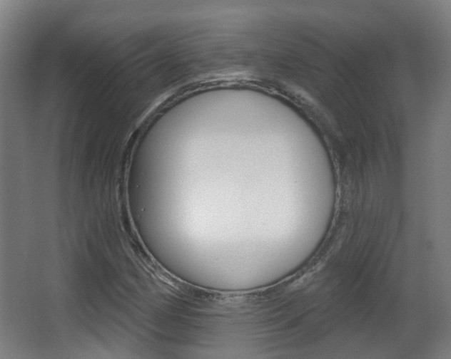 X0000062891162200601131009