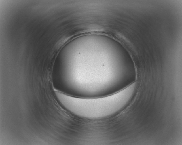 X0000062891169200601131009