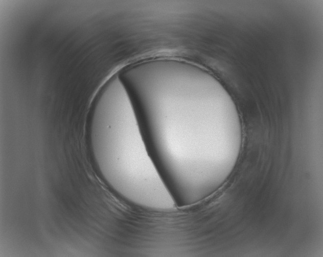 X0000062891170200601131009