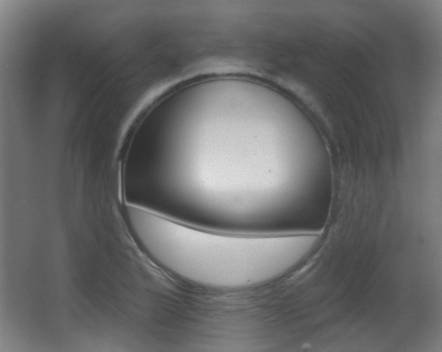 X0000062891175200601131009