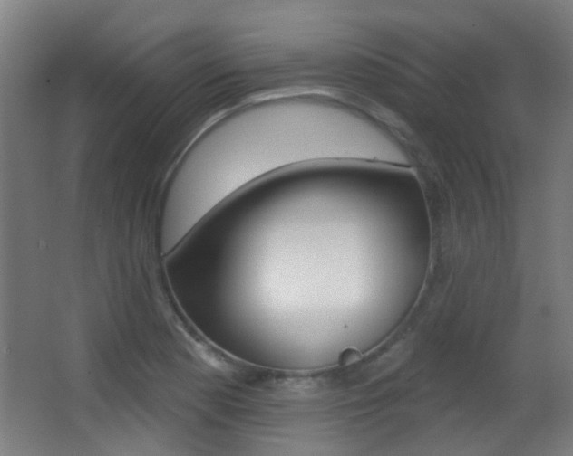 X0000062891177200601131009
