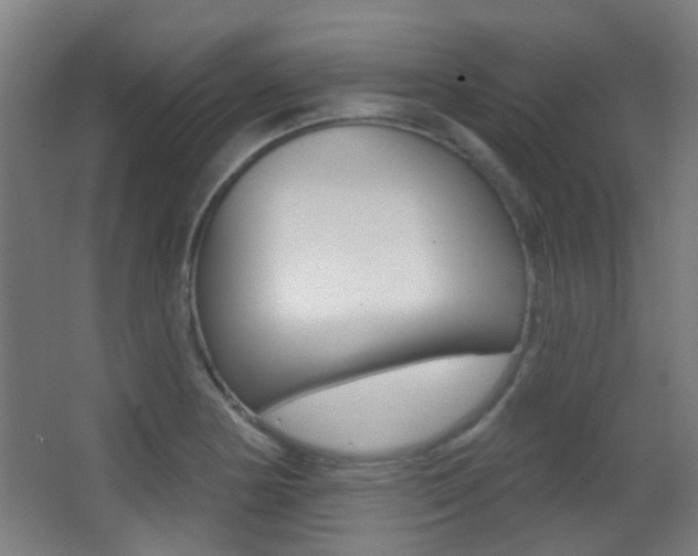 X0000062891178200601131009