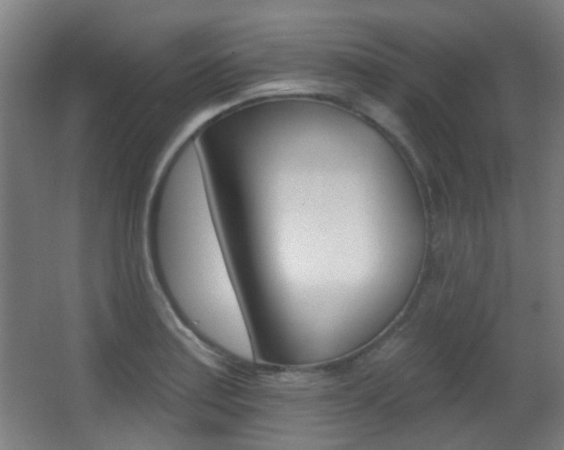 X0000062891179200601131009