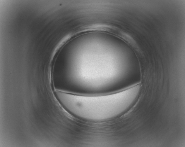 X0000062891180200601131009