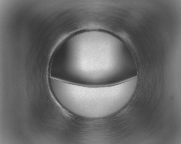 X0000062891183200601131009