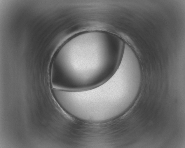 X0000062891184200601131009
