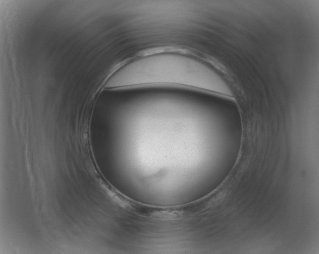 X0000062891185200601131009