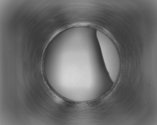 X0000062891186200601131009