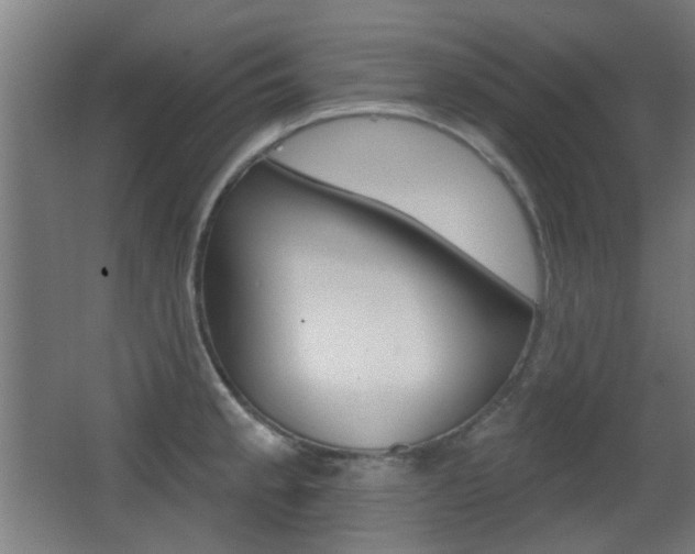 X0000062891189200601131009