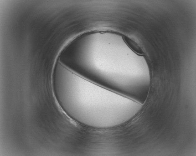 X0000062891191200601131009