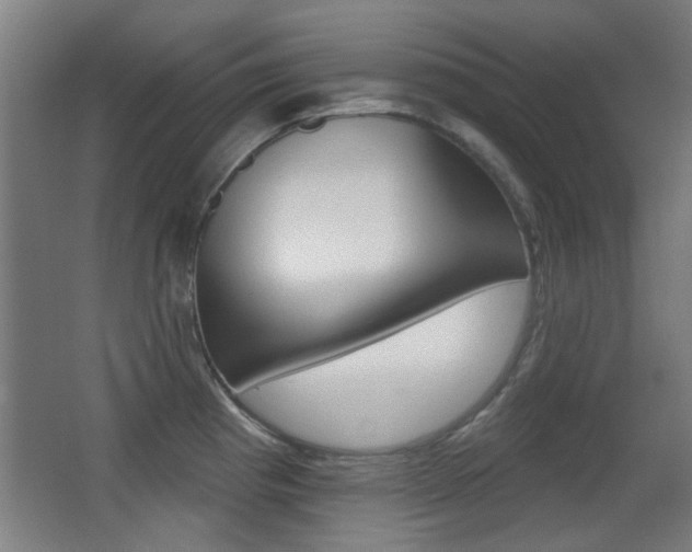 X0000062891193200601131008