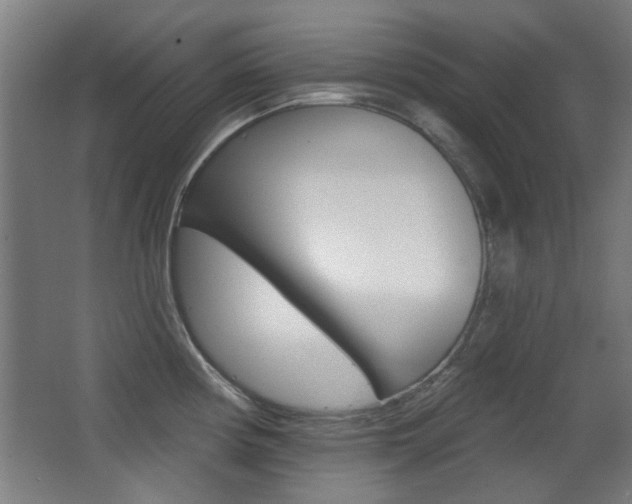 X0000062891194200601131008