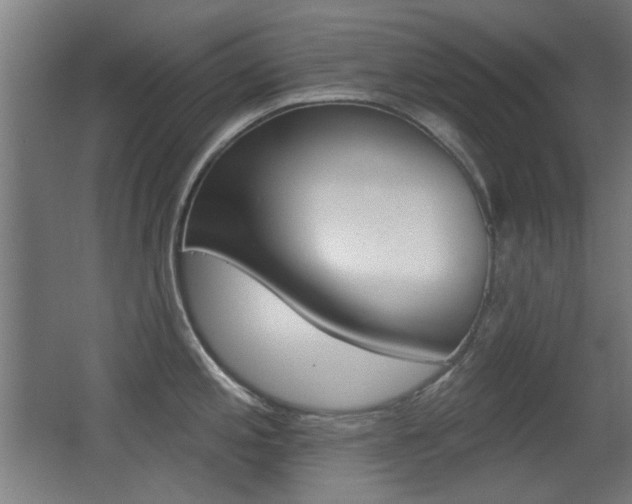X0000062891197200601131008
