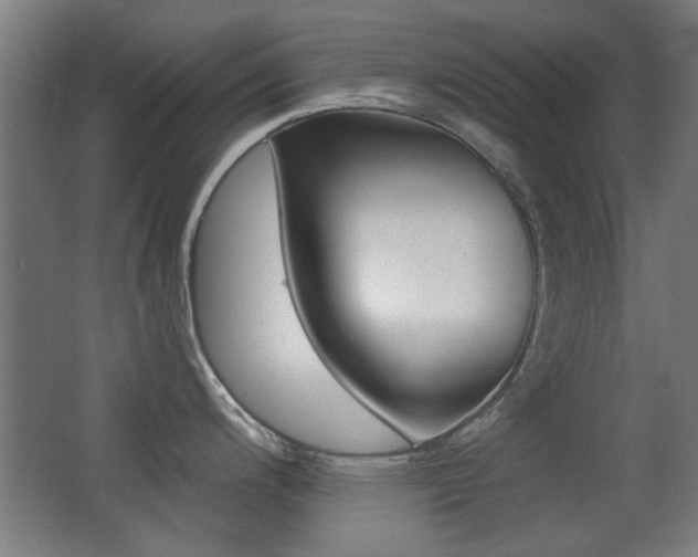 X0000062891200200601131008