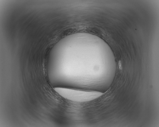 X0000062891203200601131008