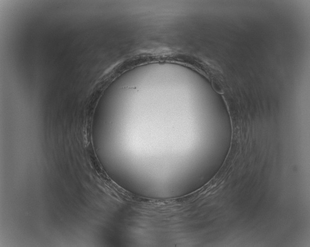 X0000062891205200601131008