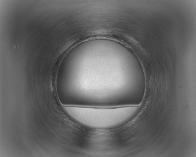 X0000062891209200601131008