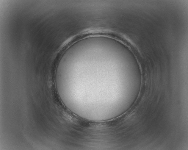 X0000062891213200601131008