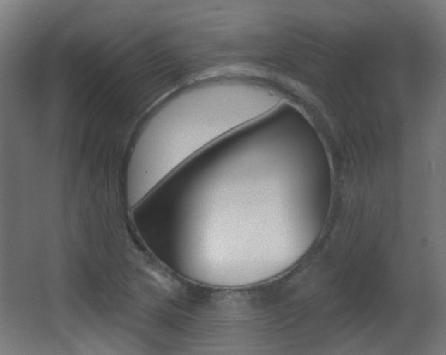 X0000062891217200601131008