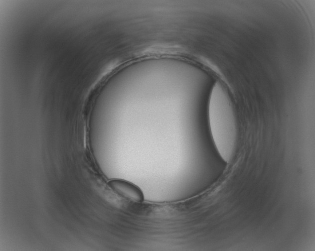 X0000062891219200601131008