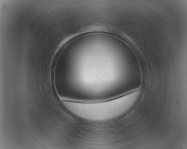 X0000062891222200601131008