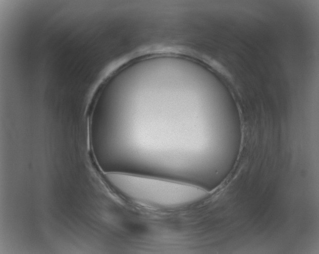 X0000062891223200601131008