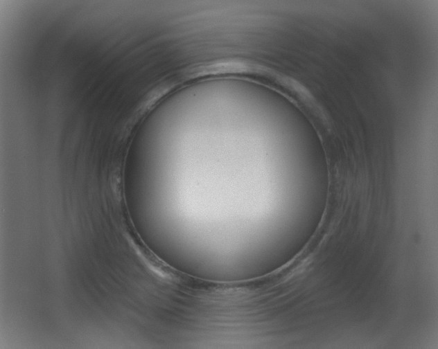 X0000062891225200601131008