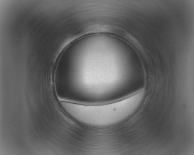 X0000062891226200601131008