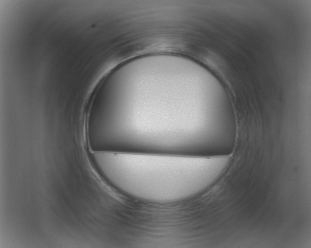 X0000062891227200601131008
