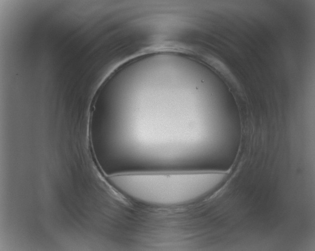 X0000062891228200601131008