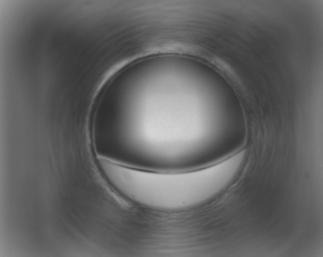 X0000062891230200601131008