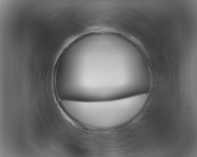 X0000062891231200601131008