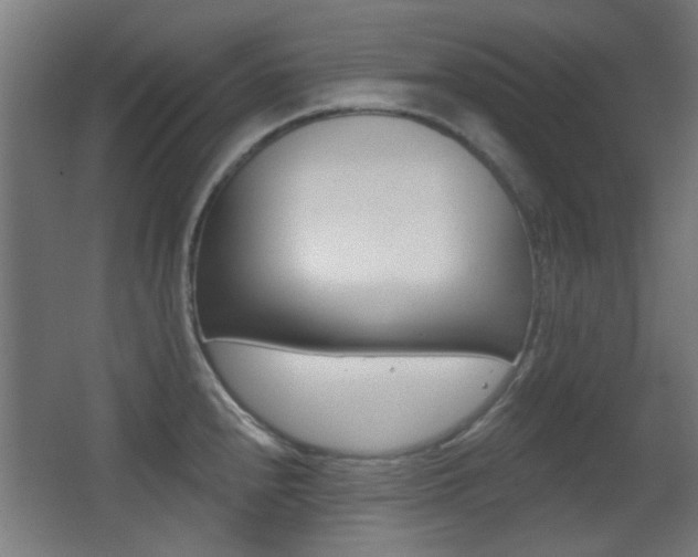 X0000062891240200601131008