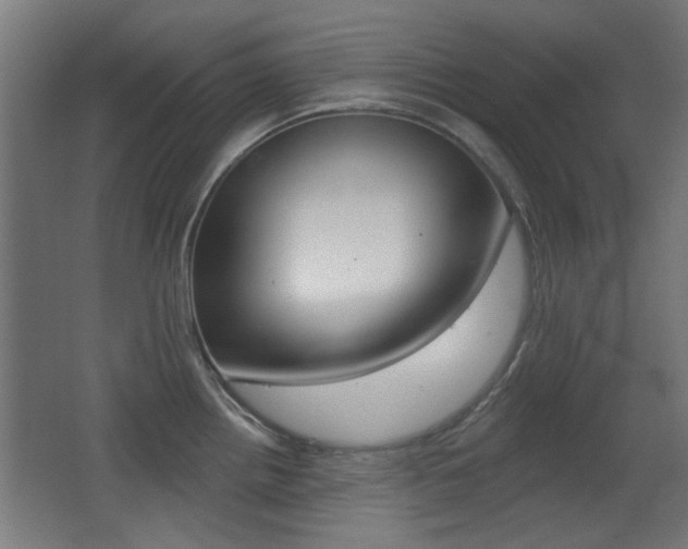 X0000062891242200601131008