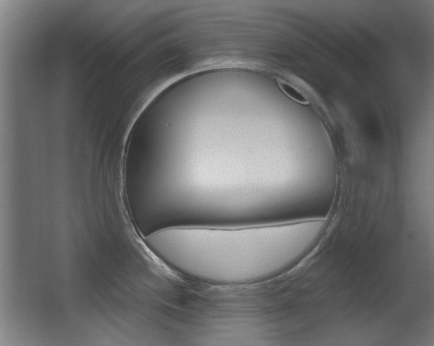 X0000062891244200601131008