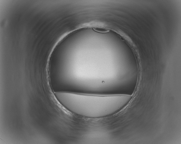 X0000062891248200601131008