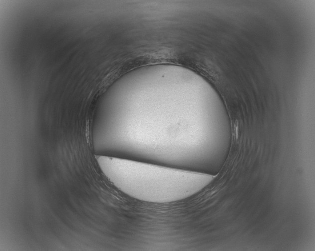 X0000062891251200601131007