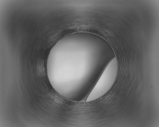 X0000062891252200601131007