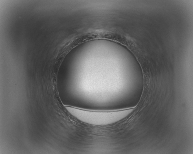 X0000062891253200601131007