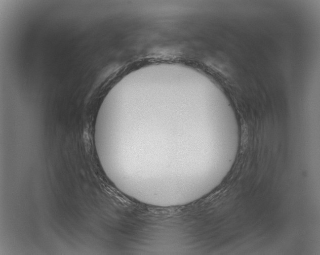 X0000062891254200601131007