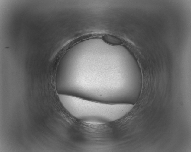 X0000062891255200601131007
