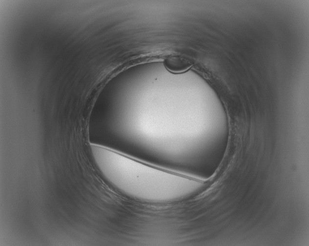 X0000062891257200601131007
