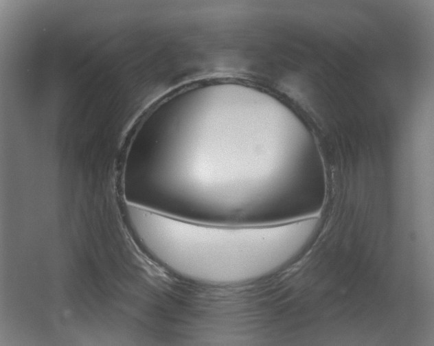 X0000062891260200601131007