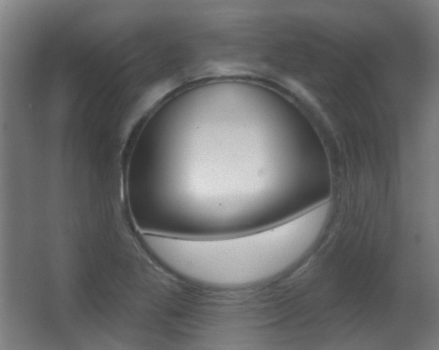 X0000062891269200601131007