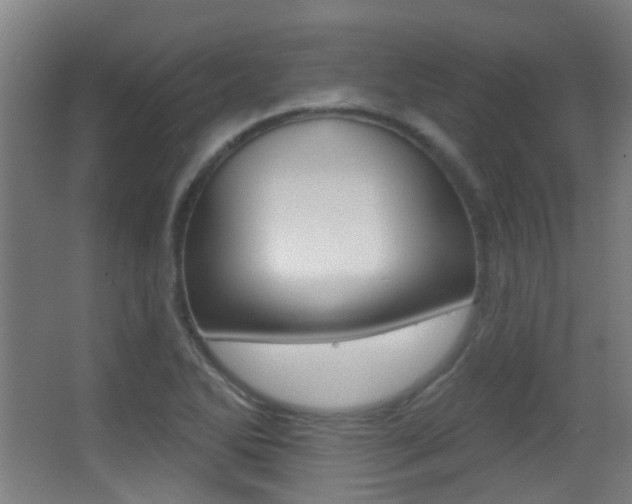 X0000062891270200601131007