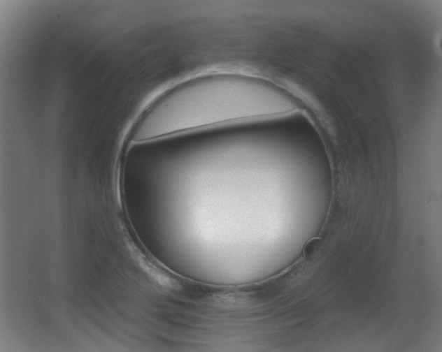 X0000062891272200601131007