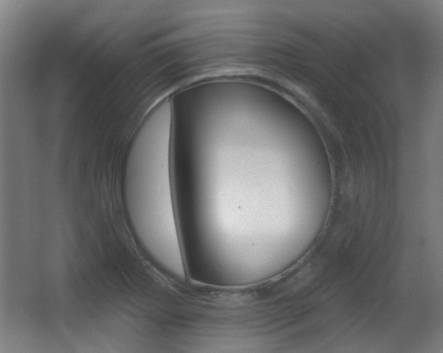 X0000062891273200601131007