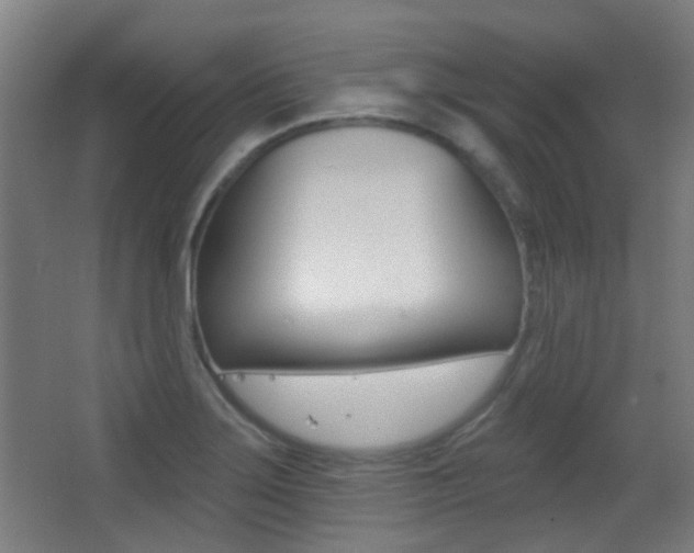 X0000062891275200601131007